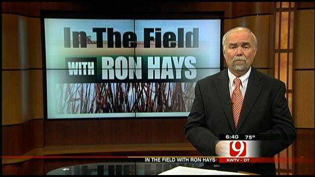 In The Field With Ron Hays: Farm Bill