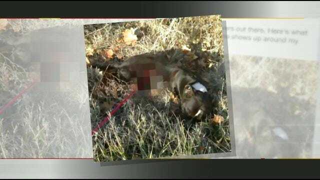 Tahlequah Teen's Alleged Dog Killing Post Goes Viral