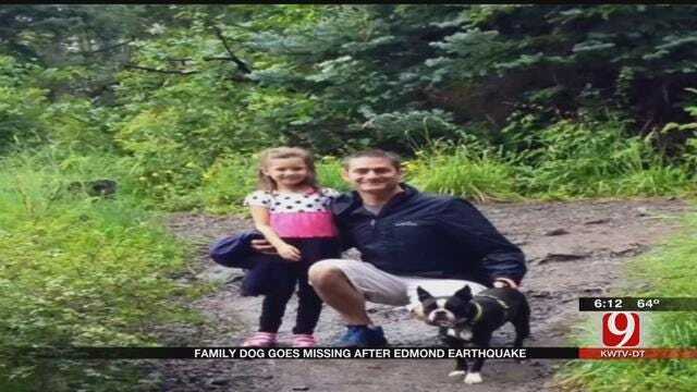 Family Dog Goes Missing Following Edmond Earthquake
