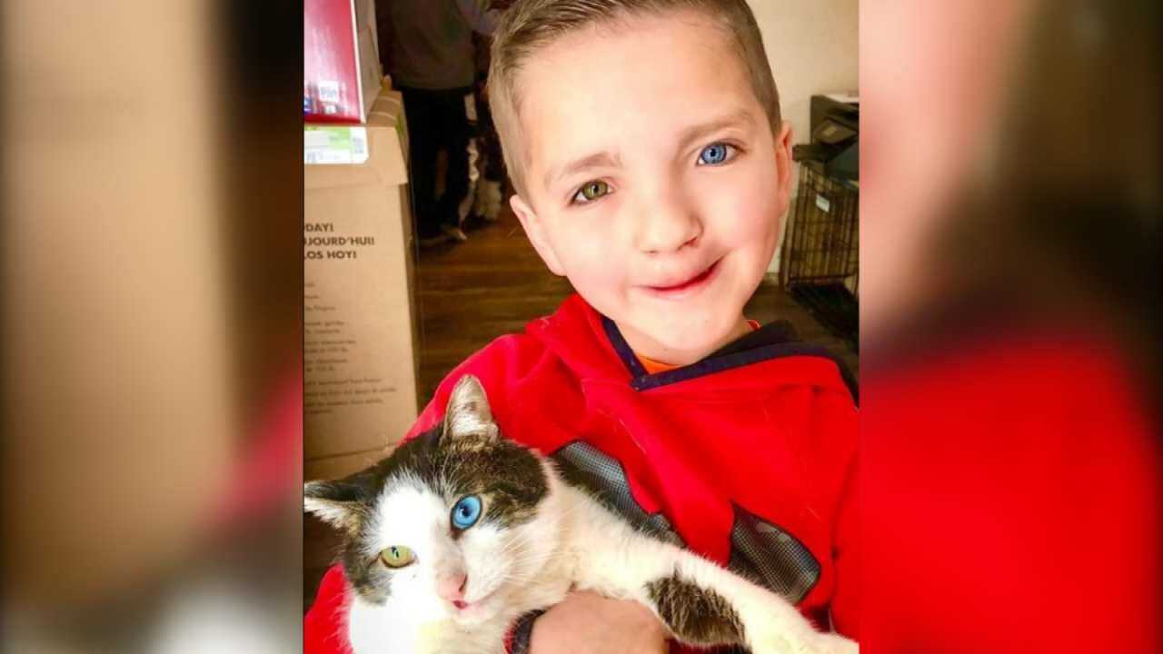 Bullied Owasso Boy - And His Cat - Inspiring Others
