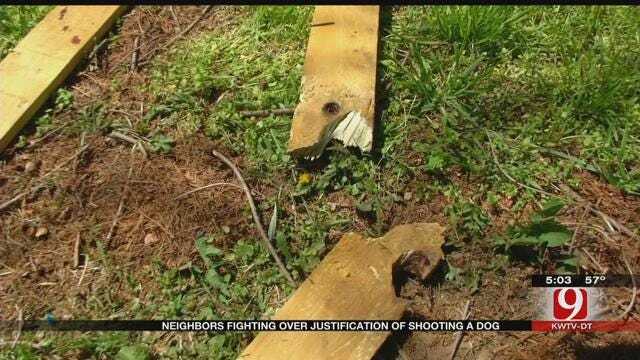 OKC Homeowner Shoots Two Dogs, Killing One. But Was He Justified?