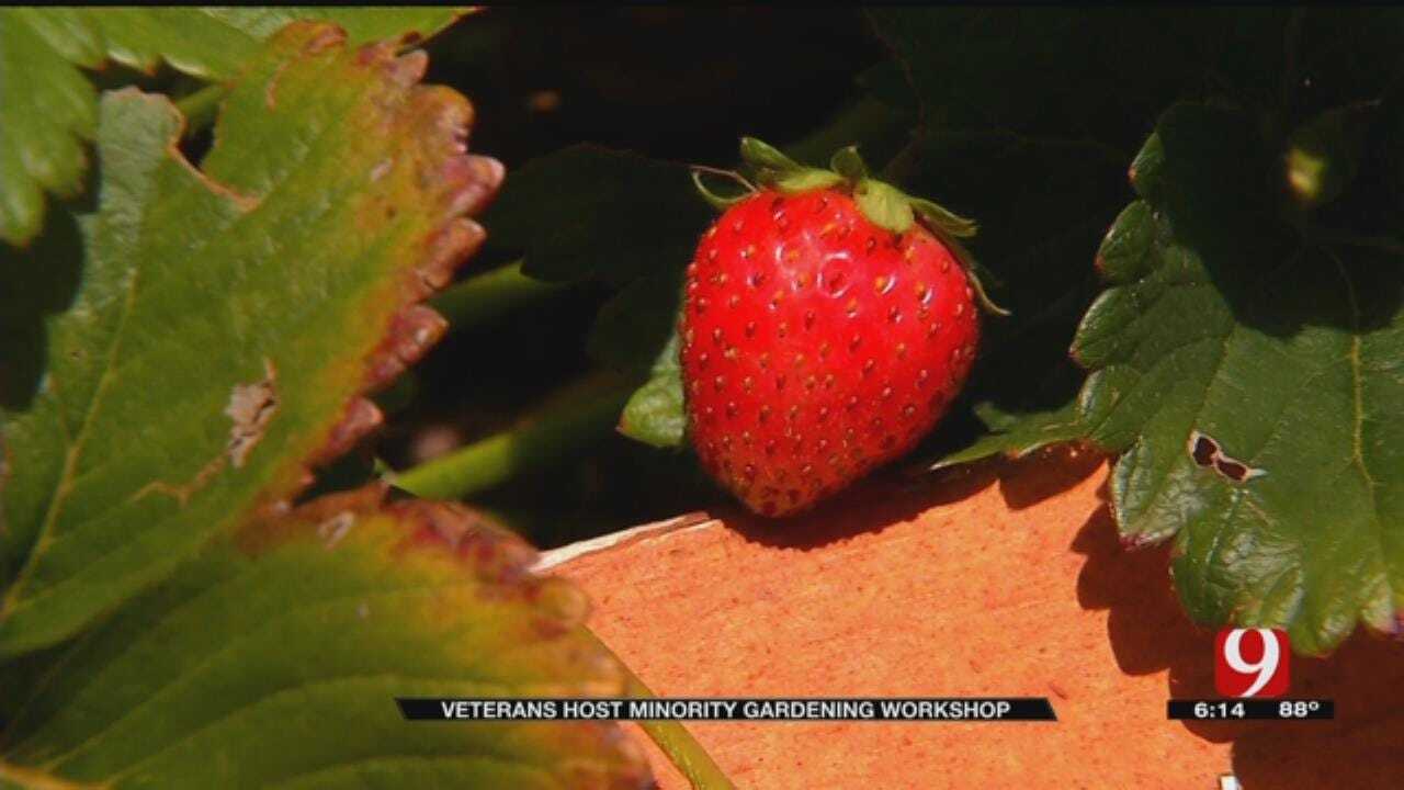USDA, Black Veterans Aim To Spark New Interest In Gardening