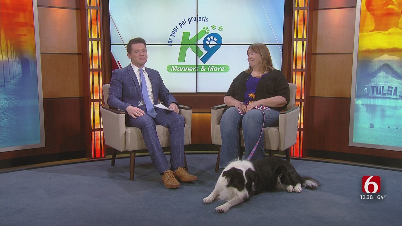 Watch: Animal Trainer Mary Green Talks About Behavior Problems With Your Dog
