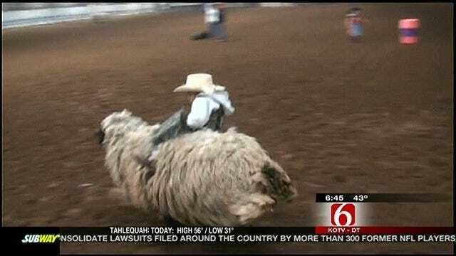Fly The Coop: Mutton Busting