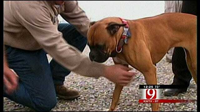 Family Reunited With Dog After Tornado