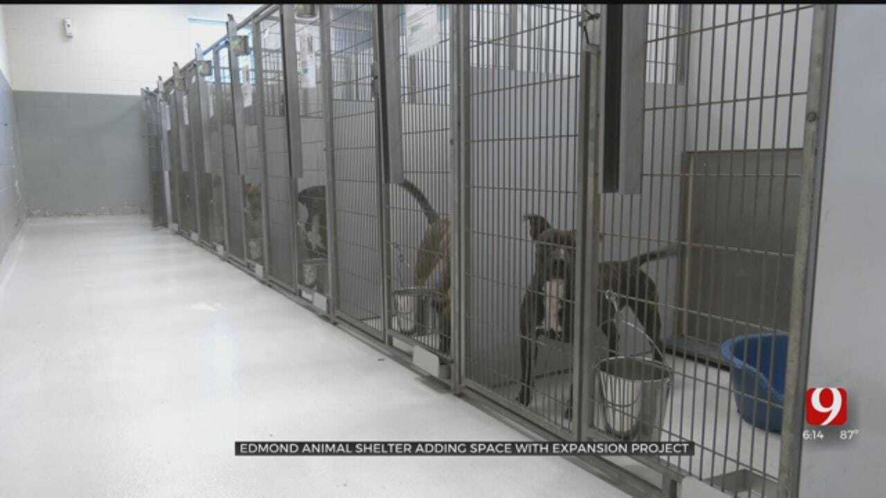 Edmond Animal Shelter Breaks Ground On Expansion Project