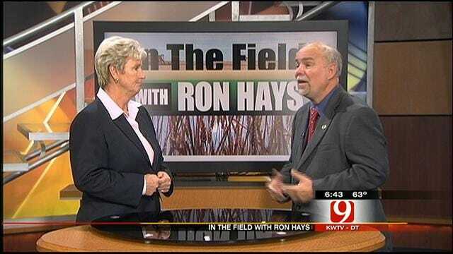 In The Field With Ron Hays: Changes Possible For Farm Bill