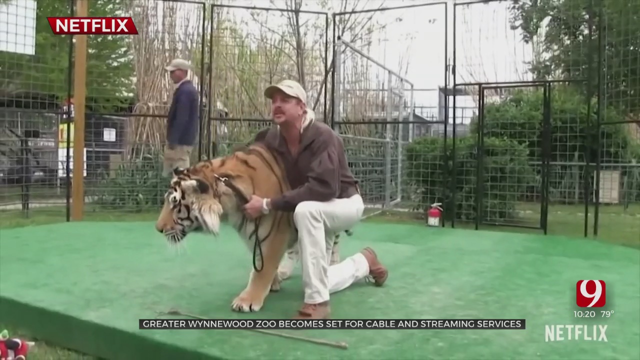 Greater Wynnewood Exotic Animal Park Closes Permanently 