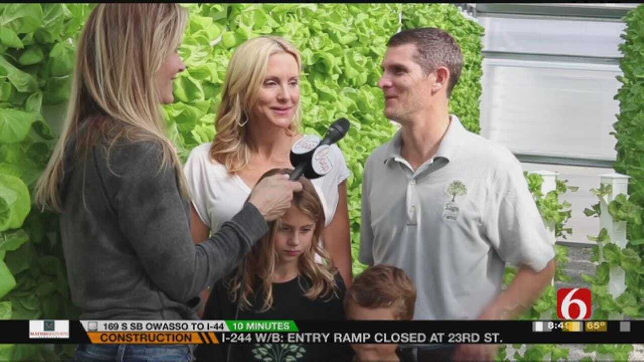 Fly The Coop: Family Gives Up Corporate Life To Start A Farm