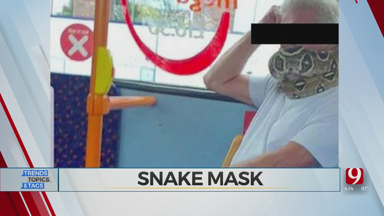 Trends, Topics & Tags: Snake Mask