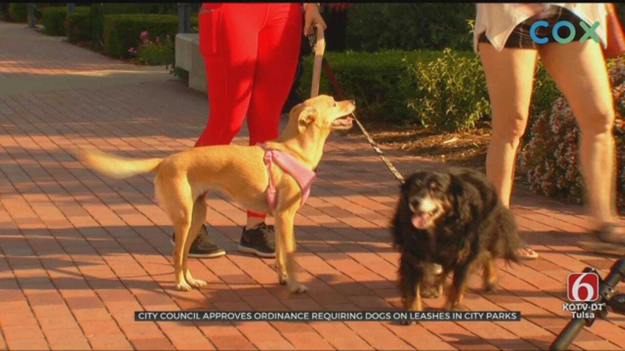 Tulsa City Councilors Vote To Require Dog Leashes At Parks