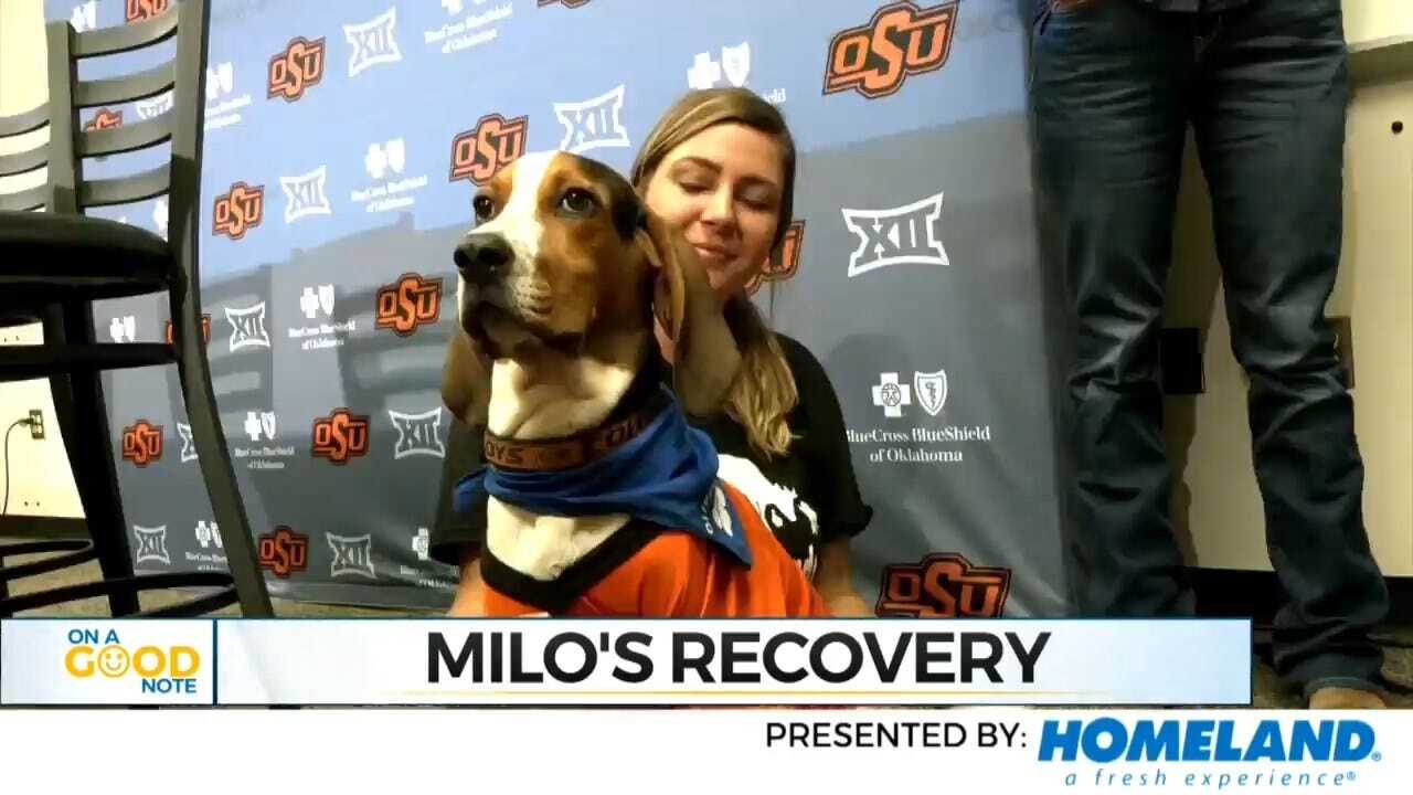 On A Good Note: We Check In On Milo's Progress 6 Months After Surgery