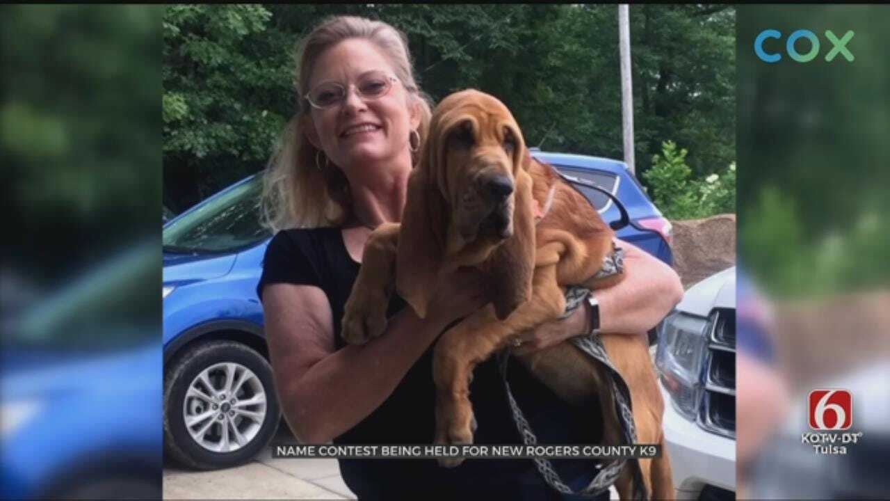 Rogers Co. Sheriff's Office Needs Name For New K-9