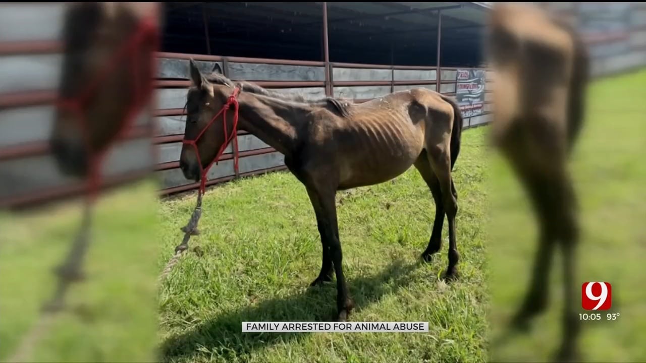 2 Charged With Nearly 50 Counts Of Animal Abuse In Lincoln County