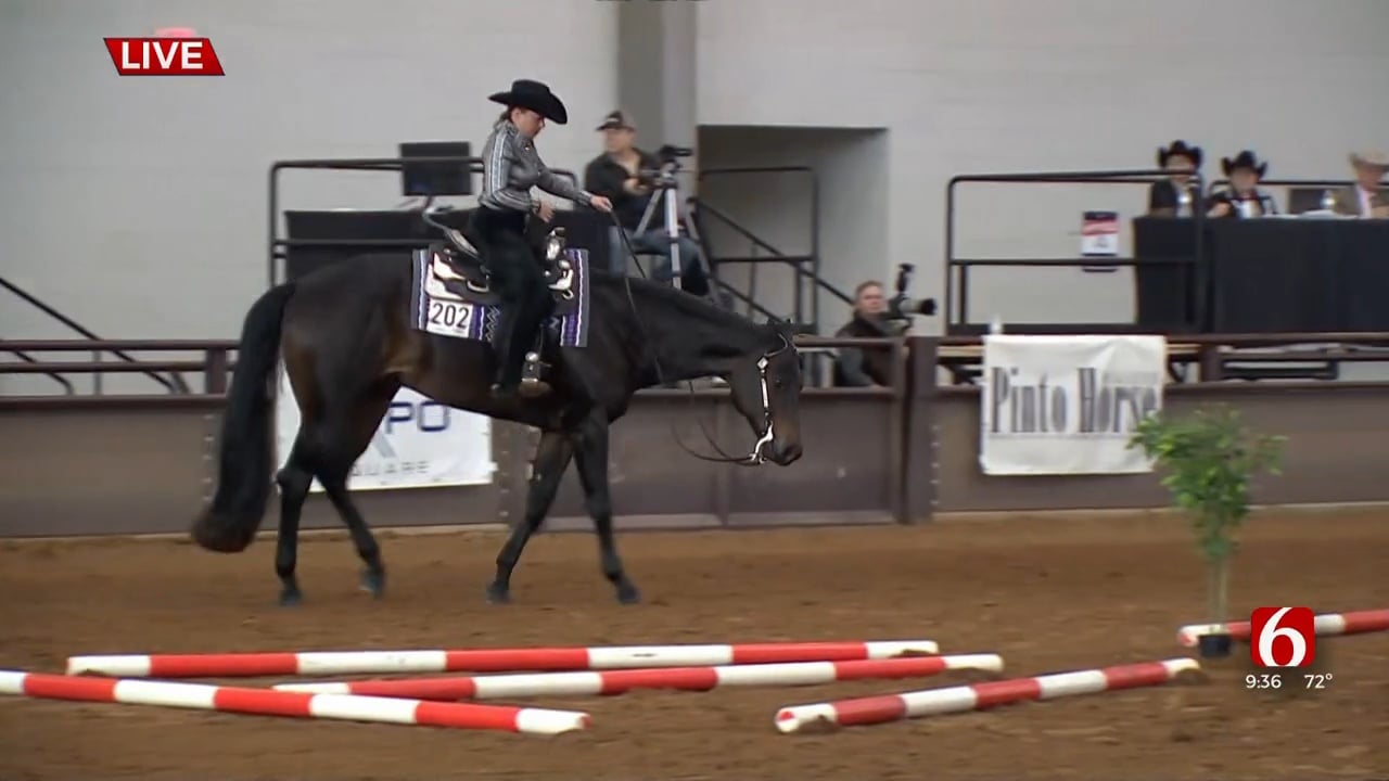 Major Horse Show Brings Thousands To Tulsa's Expo Square