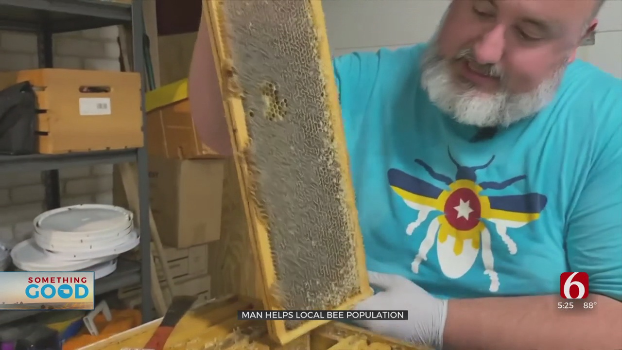 Tulsa Beekeepers Say Honey Supply Is Low After Winter Freeze Devastates Bee Population