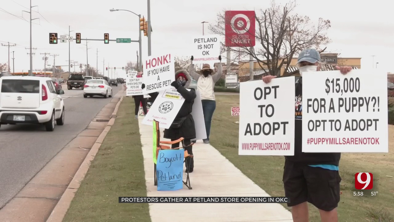 Animal Rights Activists Line Up Outside New Pet Store