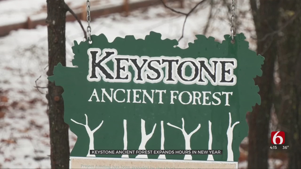 Staff Expansion Spurs More Hours At Keystone Ancient Forest