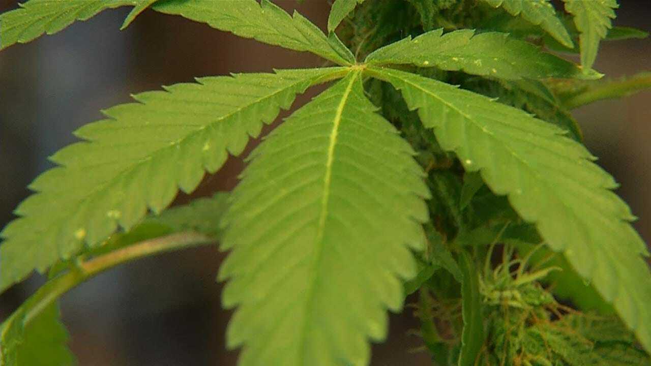 Judge Grants Injunction In Medical Marijuana Lawsuit Against Broken Arrow