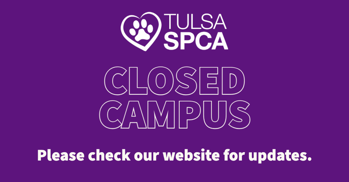 Tulsa SPCA Campus Closed Due To COVID-19