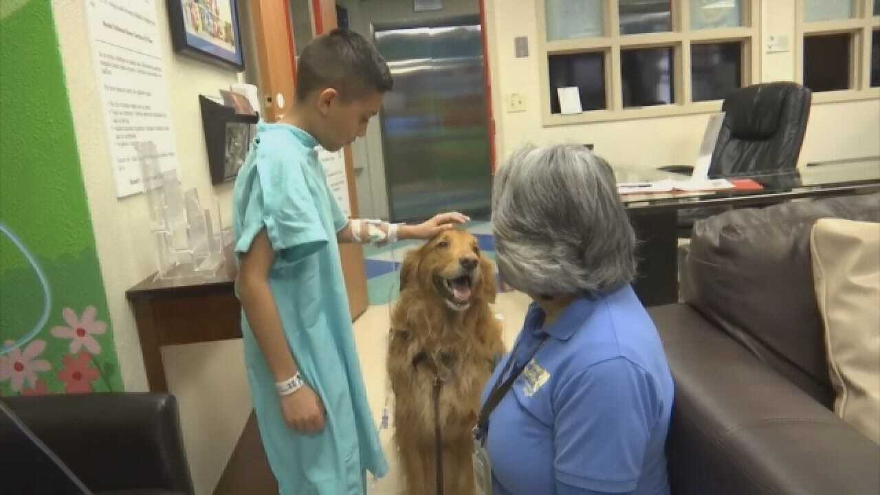Therapy Dogs Help Young Patients At Texas Hospital