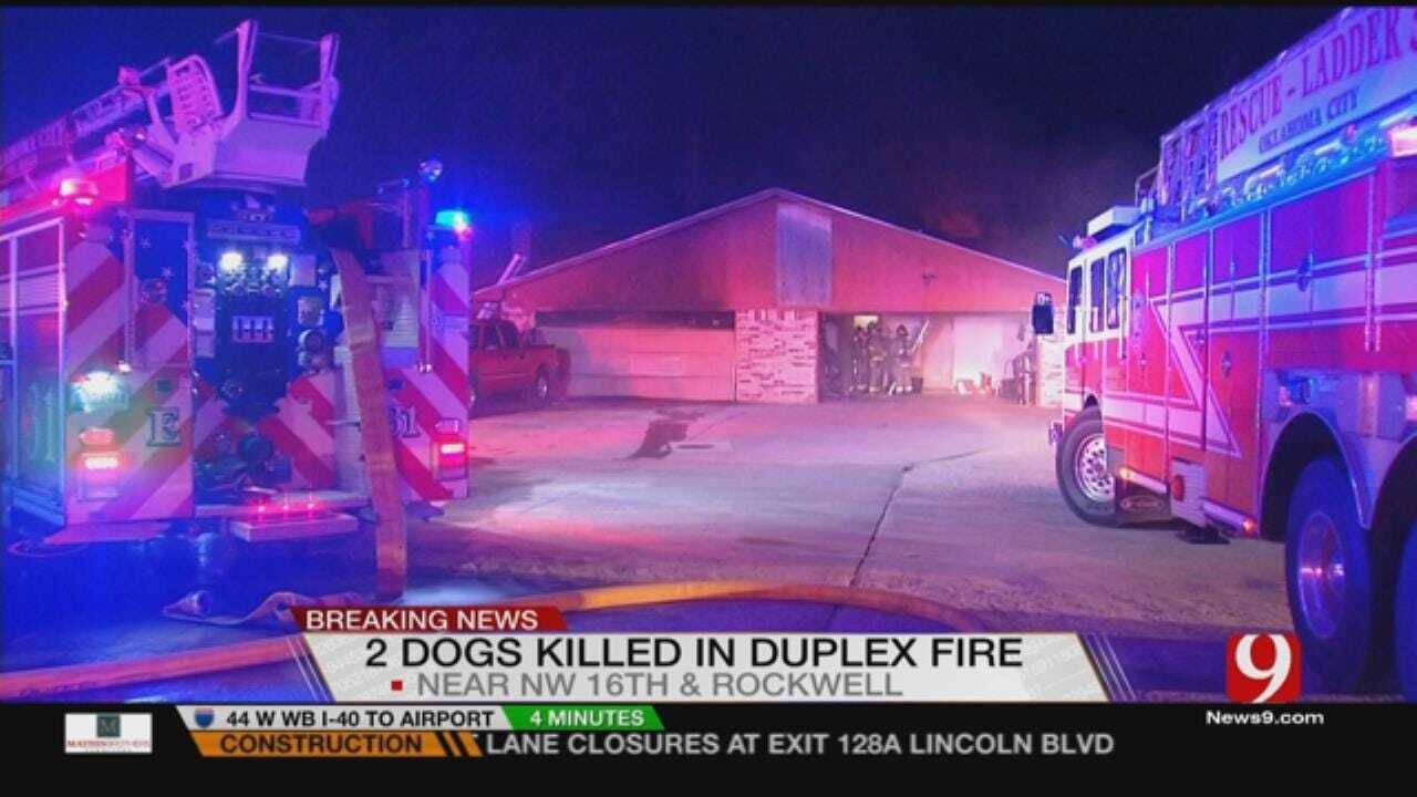 Overnight OKC House Fire Kills Two Dogs