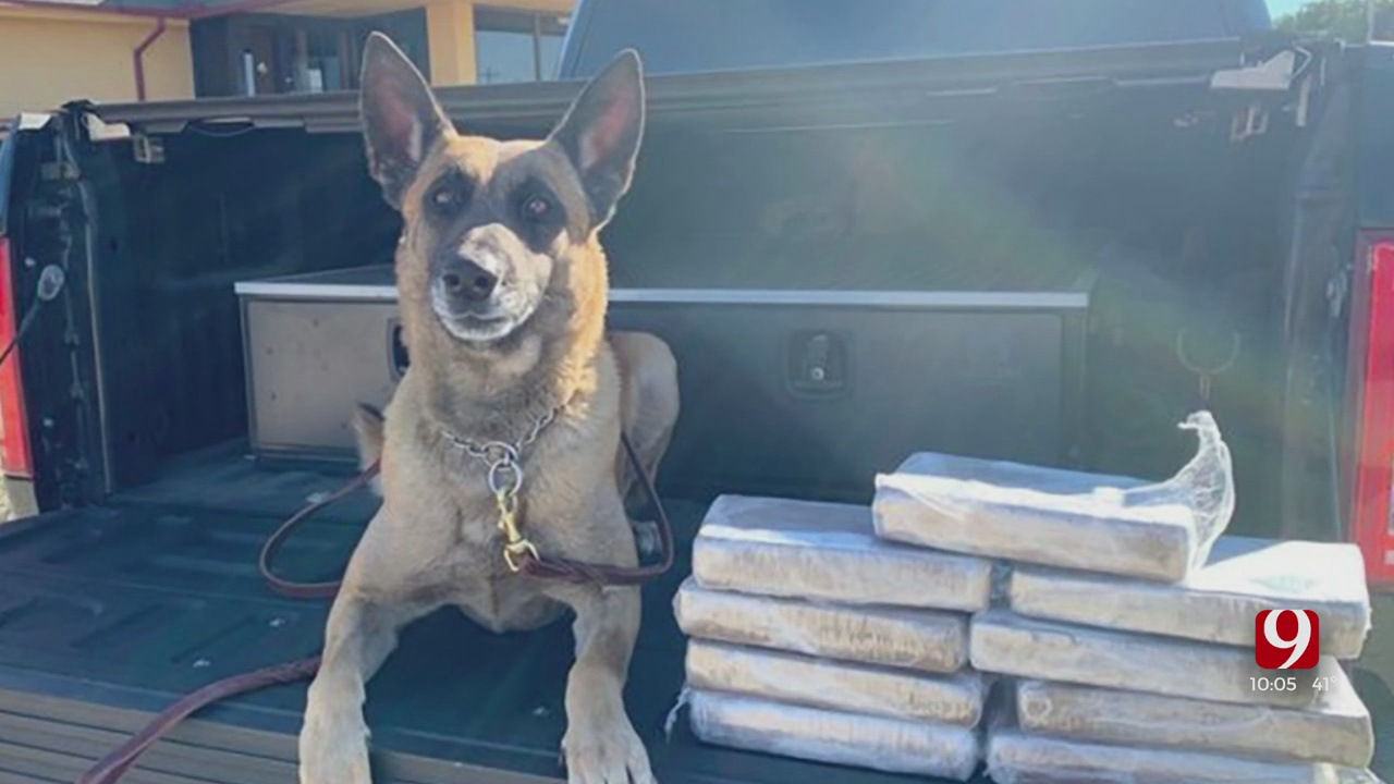 Police K-9 Discovers 9 Kilos Of Fentanyl During Traffic Stop