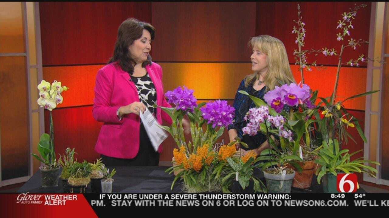6 In The Morning Previews 'Orchids Around The Globe' In Tulsa
