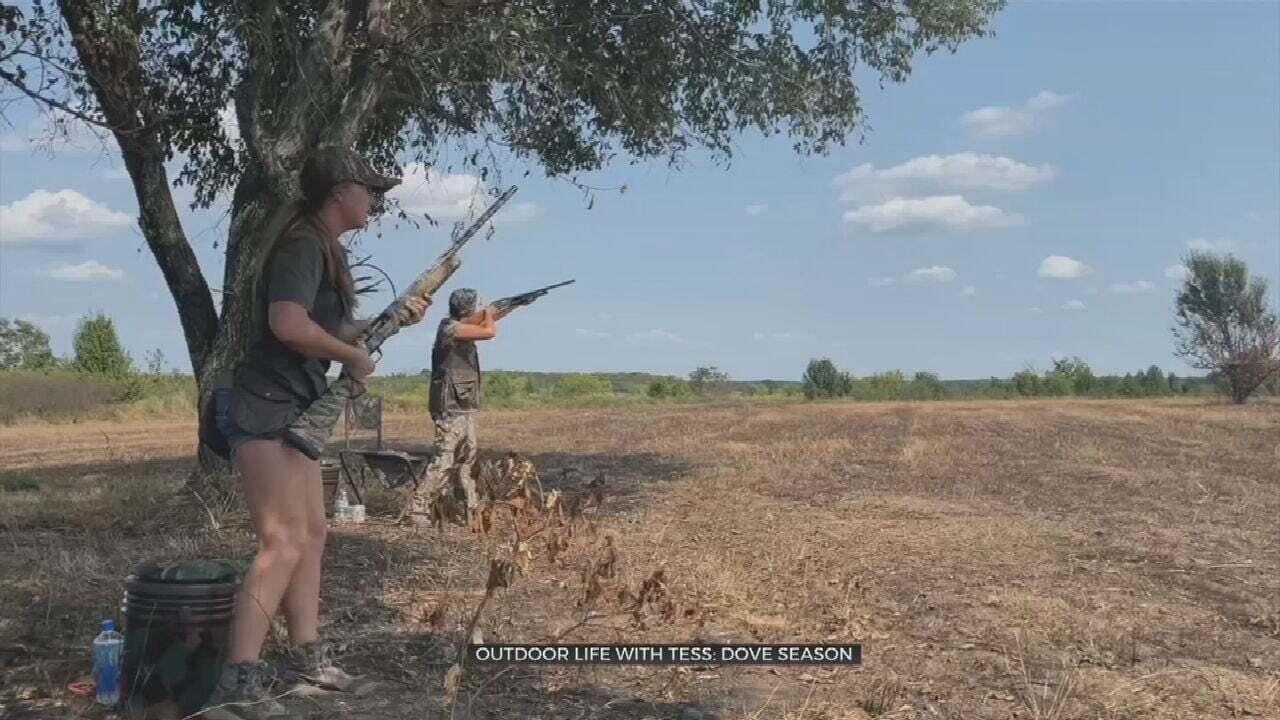 Outdoor Life With Tess Maune: Taking A Shot At Dove Hunting 