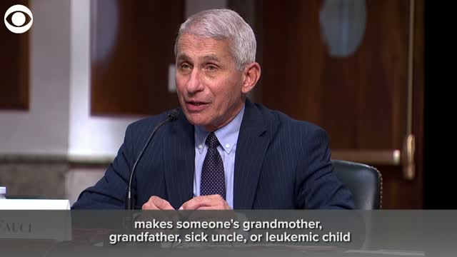 'We're All In this Together,' Says Dr. Fauci On COVID-19 Pandemic