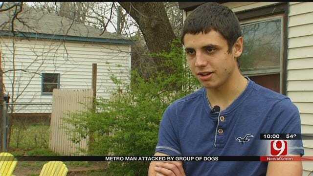 Metro Man Attacked By Group Of Dogs