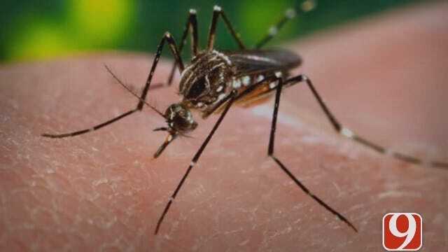 WEB EXTRA: Justin Dougherty Follows Alarming Facts About Zika Virus