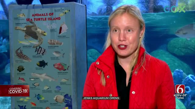 Jenks Aquarium Opens, Limits Number Of Visitors