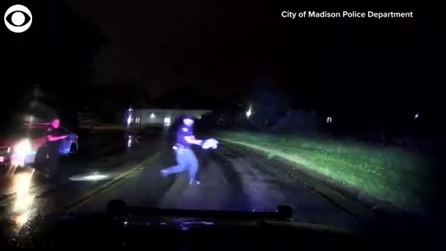 WATCH: Police Officers Rescue Snapping Turtle Trying To Cross A Road