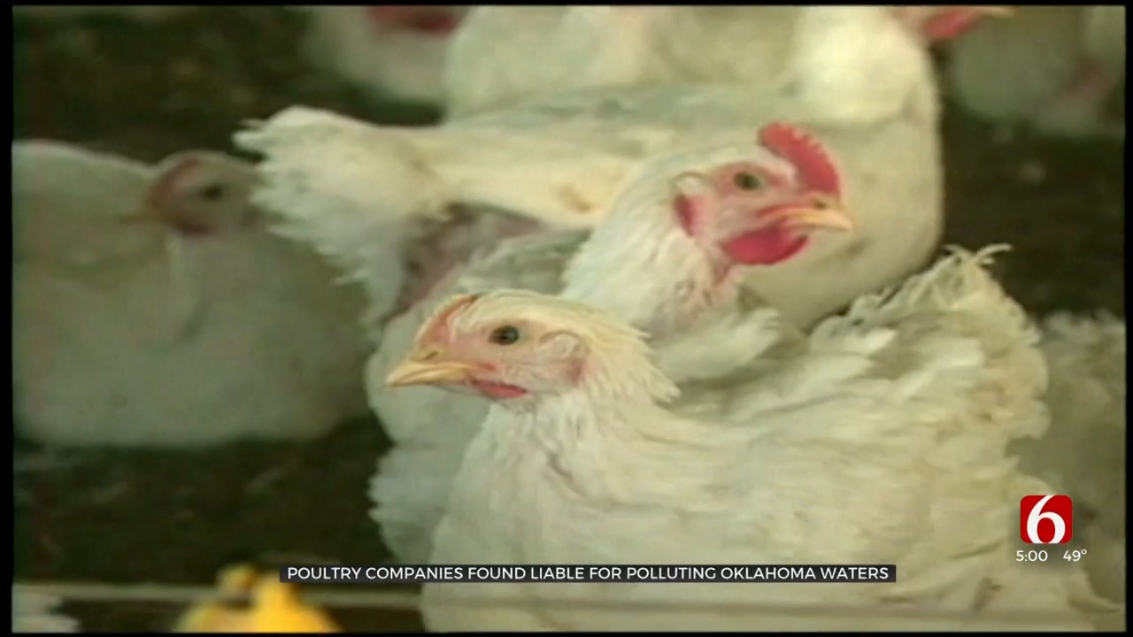 Federal Judge Rules Against Poultry Companies In Illinois River, Lake Tenkiller Lawsuit 