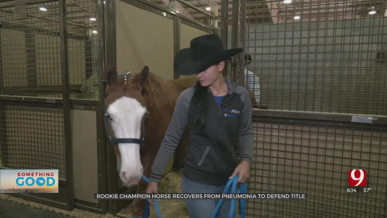 Champion Horse Fights Near-Deadly Illness To Successfully Repeat Win