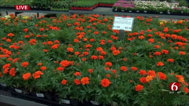Watch: Springtime Gardening Tips From HGTV Gardening Star Paul James