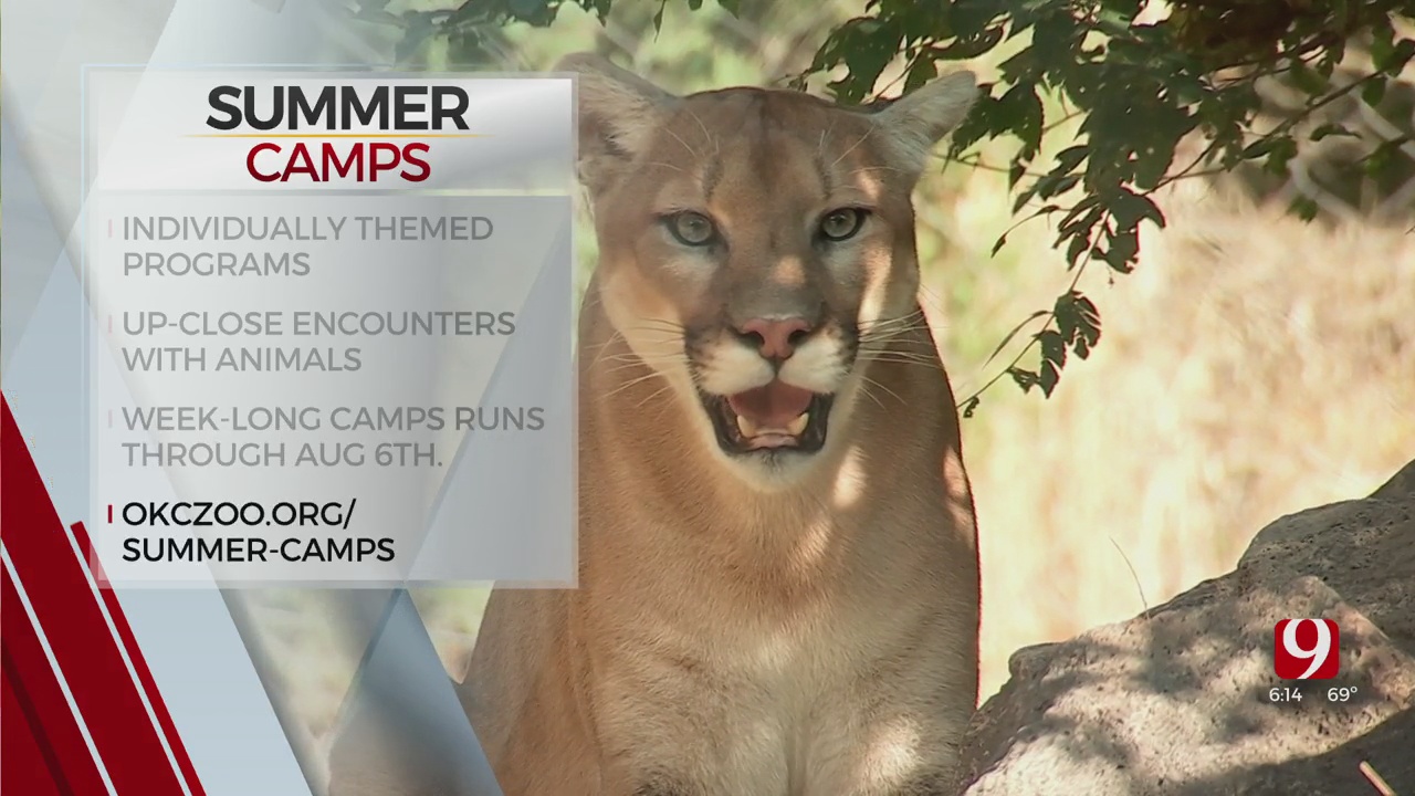 OKC Zoo Hosting Weekly Summer Camps