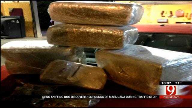Drug Sniffing Dog Discovers 125 Pounds Of Marijuana During Traffic Stop
