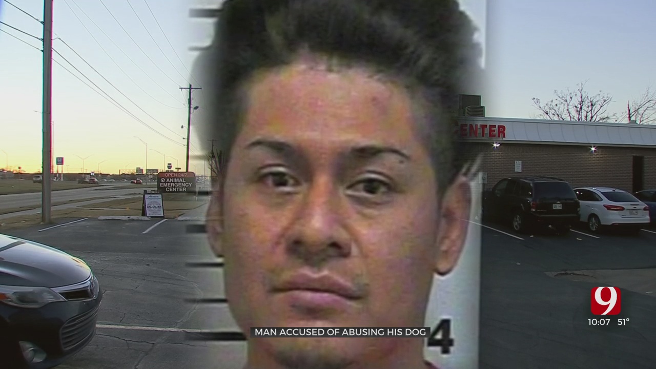 Local Man Arrested, Accused Of Abusing His Chihuahua 