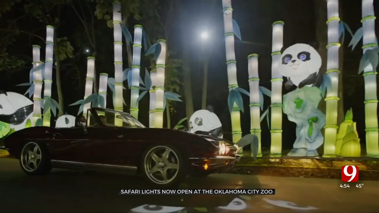 ‘Safari Lights’ Returns To The Oklahoma City Zoo