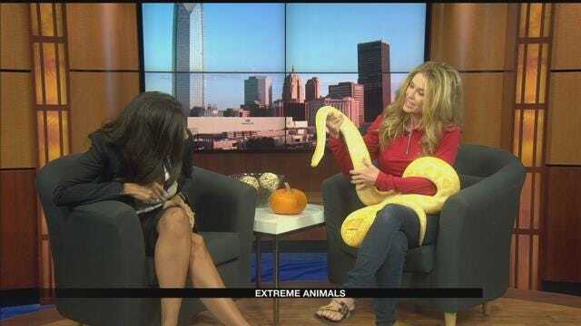 Melissa Meadows With Extreme Animals