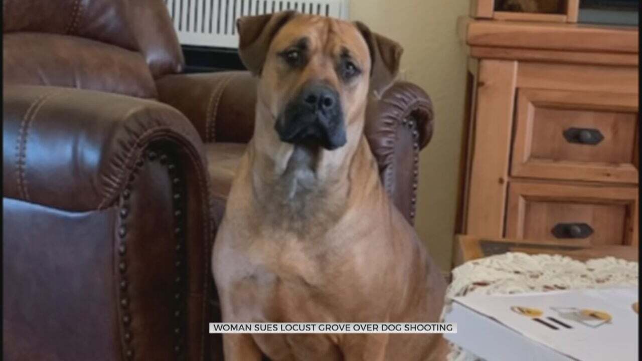 Women Sues The City Of Locust Grove, Mayor, Two Police Officers Over The Death Of Her Dogs