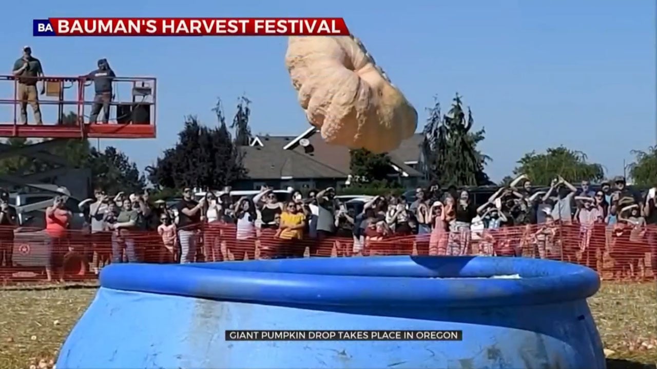 Oregon Farm Drops 1,000-Pound Pumpkin Into Pool