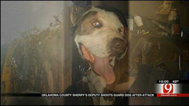 OK Co. Sheriff's Deputy Shoots Guard Dog After Attack