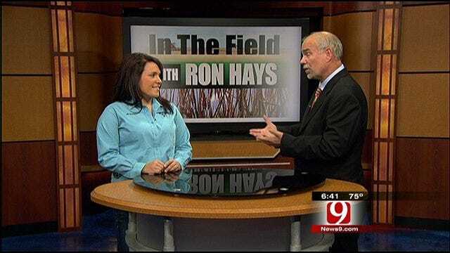 In The Field With Ron Hays: Oklahoma Beef Ambassador