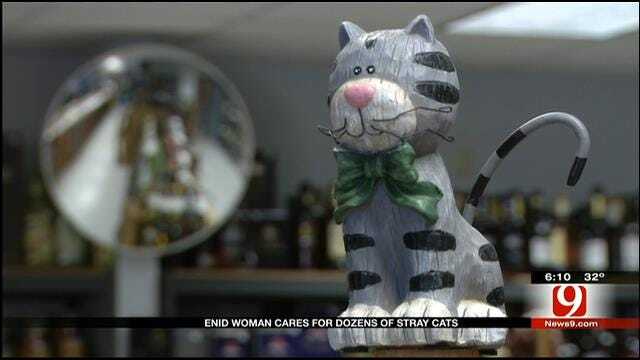 City Ordinance Causing Complications For Enid Animal Lover