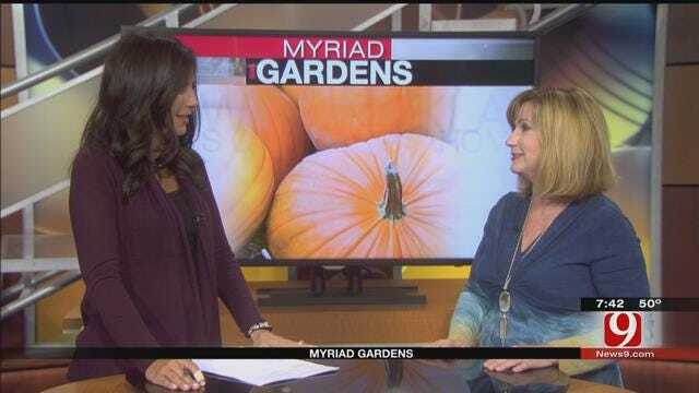 Myriad Gardens: October Activities