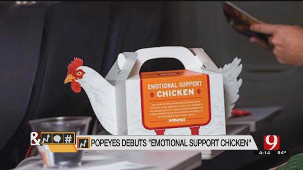 Trends, Topic & Tags: ‘Emotional Support Chicken’