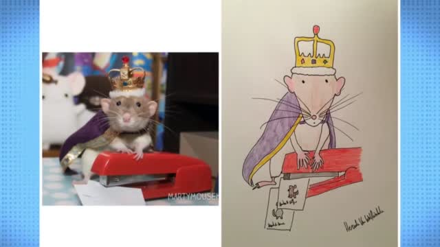 Doodling UK Dad Raises Cash, Smiles With A 'Bonkers' Pet Portrait Career